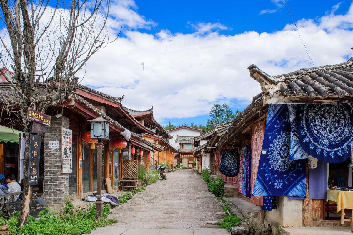 鲨鱼比海豚体型大，为什么不吃海豚？游戏画面
